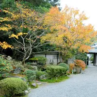新善光寺の写真・動画_image_58969