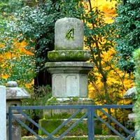 新善光寺の写真・動画_image_58972