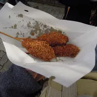 京家コロツケの写真・動画_image_58979