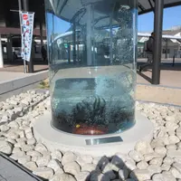 ガジロウチューブの写真・動画_image_590230