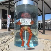 ガジロウチューブの写真・動画_image_590231