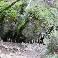 公時神社の写真・動画_image_5915