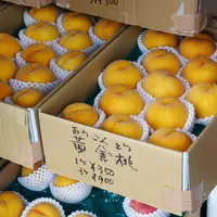 ふじみ茶屋の写真・動画_image_5918