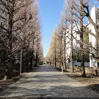 東京大学駒場キャンパスの写真・動画_image_592519