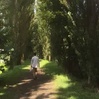 北海道大学の写真・動画_image_59373