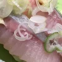 根室花まる JRタワーステラプレイス店の写真・動画_image_59378