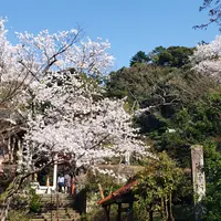山代温泉の写真・動画_image_595130