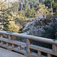 山中温泉の写真・動画_image_595134