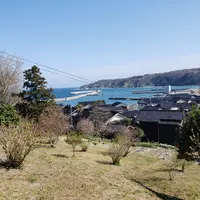 禄剛崎の写真・動画_image_595253