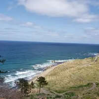 道の駅 千枚田ポケットパークの写真・動画_image_595265