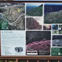 道の駅 千枚田ポケットパークの写真・動画_image_595266