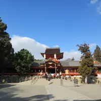 石清水八幡宮の写真・動画_image_595749