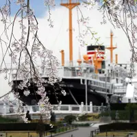 横浜中華街の写真・動画_image_59712