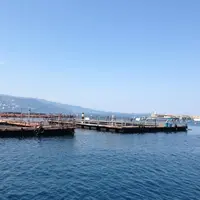 筏釣り東海の写真・動画_image_5975