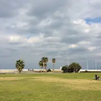 道の駅・海の駅 宇土マリーナの写真・動画_image_59751