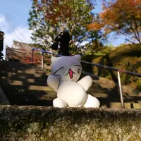 今熊野観音寺の写真・動画_image_59811