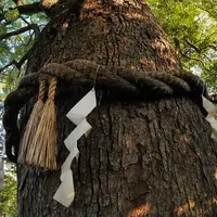 新熊野神社の写真・動画_image_59813
