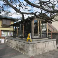 飛行神社の写真・動画_image_598167