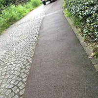 生田緑地公園の写真・動画_image_5996