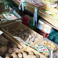 （株）藤本商店の写真・動画_image_60026