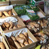 （株）藤本商店の写真・動画_image_60027