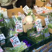 （有）ベジタブル石橋の写真・動画_image_60034