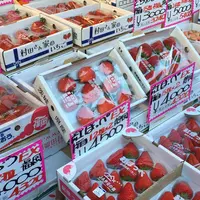 （有）ベジタブル石橋の写真・動画_image_60035