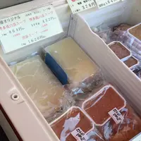 鳥藤の写真・動画_image_60038