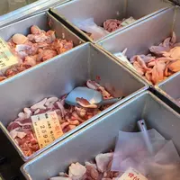 鳥藤の写真・動画_image_60039