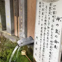 阿蘇神社の写真・動画_image_60085