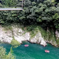 三好市東祖谷山落合の写真・動画_image_60135