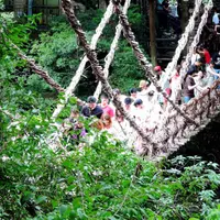 三好市東祖谷山落合の写真・動画_image_60139