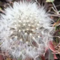 宮地駅の写真・動画_image_60199