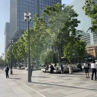 東京駅の写真・動画_image_602217