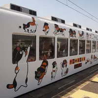 たま電車の写真・動画_image_6023
