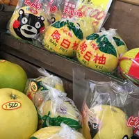 杖立温泉の写真・動画_image_60232