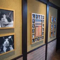 貴志駅の写真・動画_image_6031