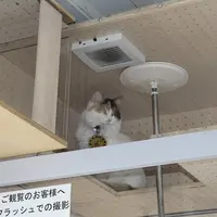 伊太祁曽駅の写真・動画_image_6035