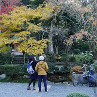 新善光寺の写真・動画_image_60379