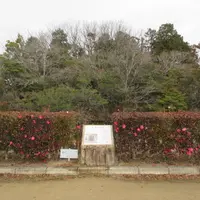 玉丘史跡公園の写真・動画_image_603850