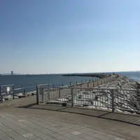 ラグーナビーチの写真・動画_image_60430