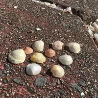 星越海岸の写真・動画_image_60447