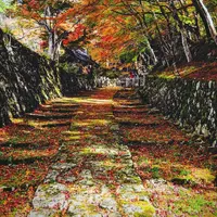 商家の町並みの写真・動画_image_60677