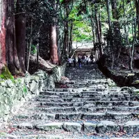 商家の町並みの写真・動画_image_60678