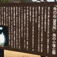 鳥の小塚公園の写真・動画_image_60717
