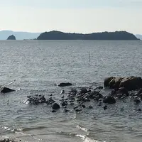 竹島遊歩道東の終点の写真・動画_image_60742