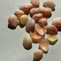 竹島遊歩道東の終点の写真・動画_image_60758