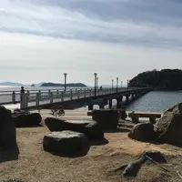 竹島海岸の写真・動画_image_60771