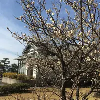 竹島水族館の写真・動画_image_60800