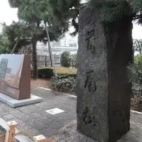 蔵前橋の写真・動画_image_60882